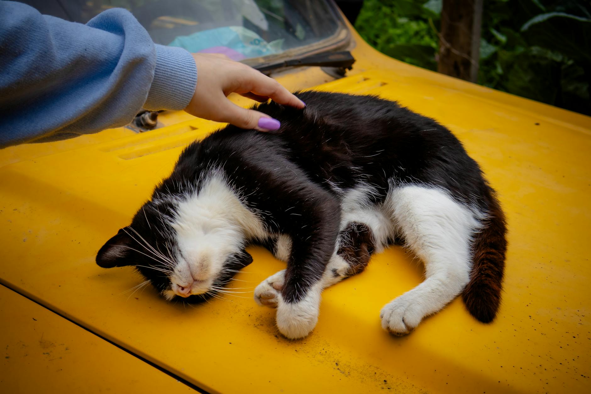 Car Overheated, Can I Drive It?