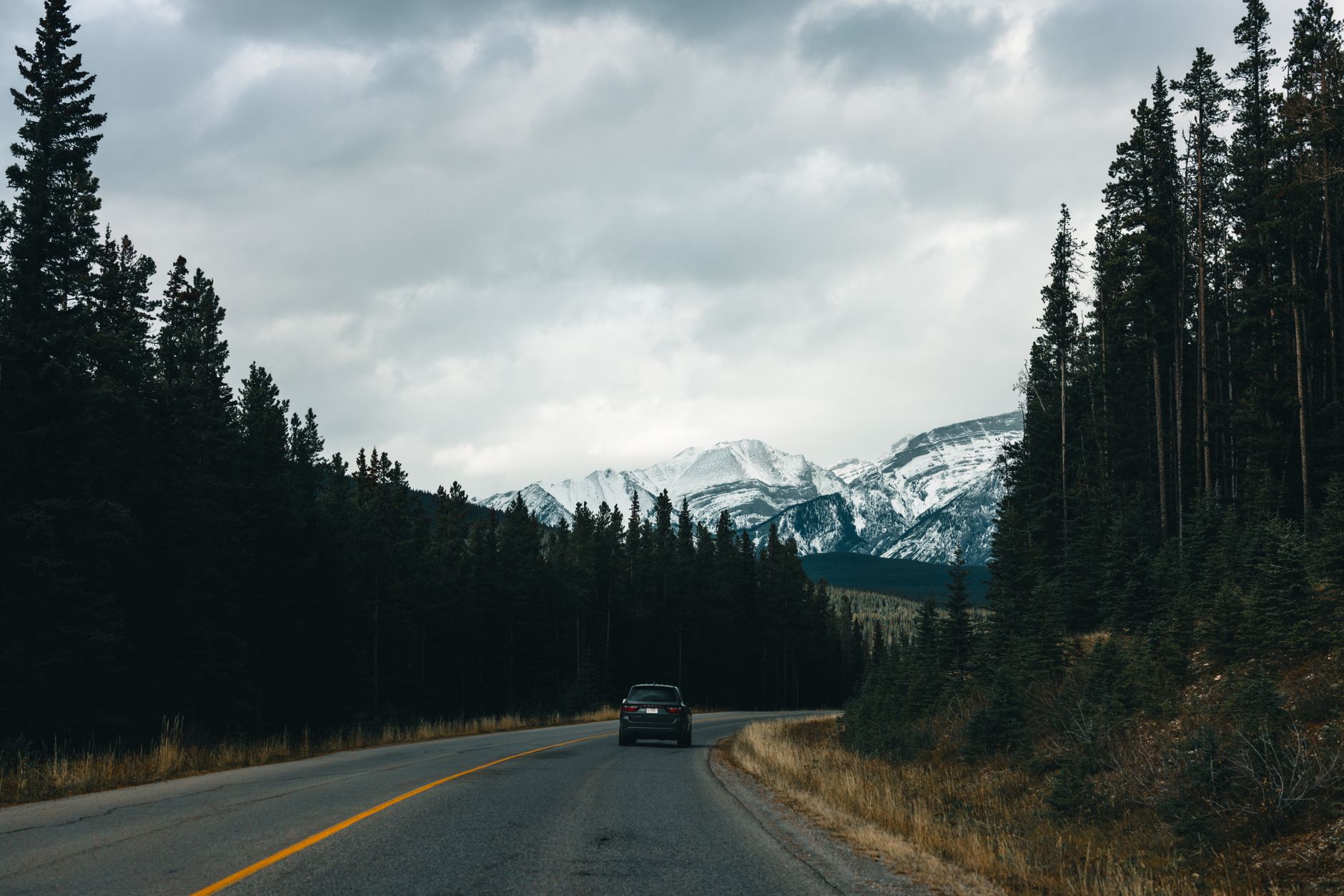 Car Smoking Under Hood on Highway: Pull Over or Keep Driving?