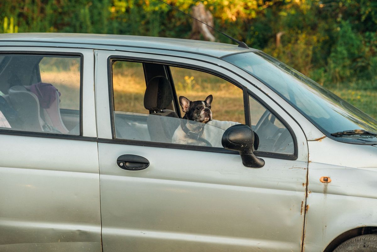 Car Stalled in Intersection: What to Do Right Now