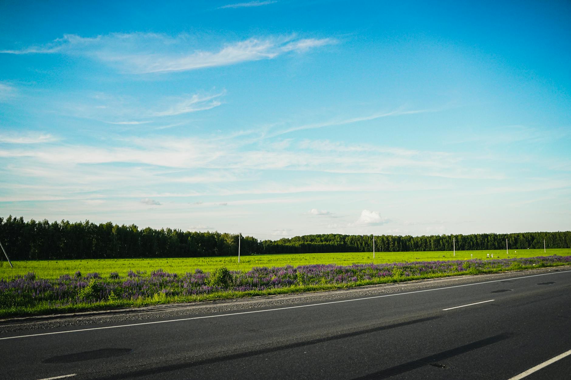 roadside assistance highway