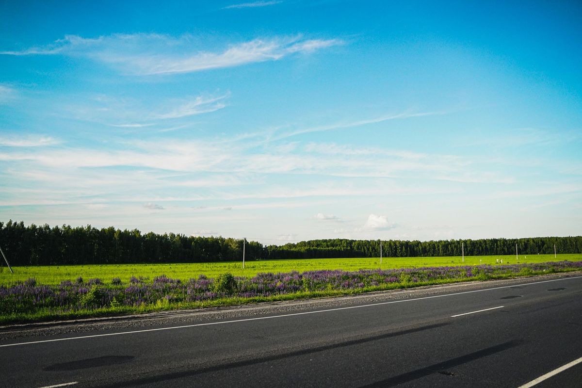 roadside assistance highway