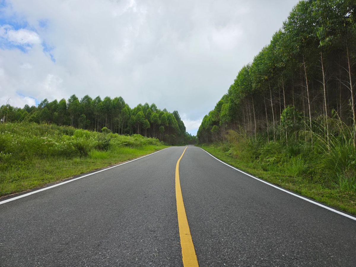 roadside assistance highway